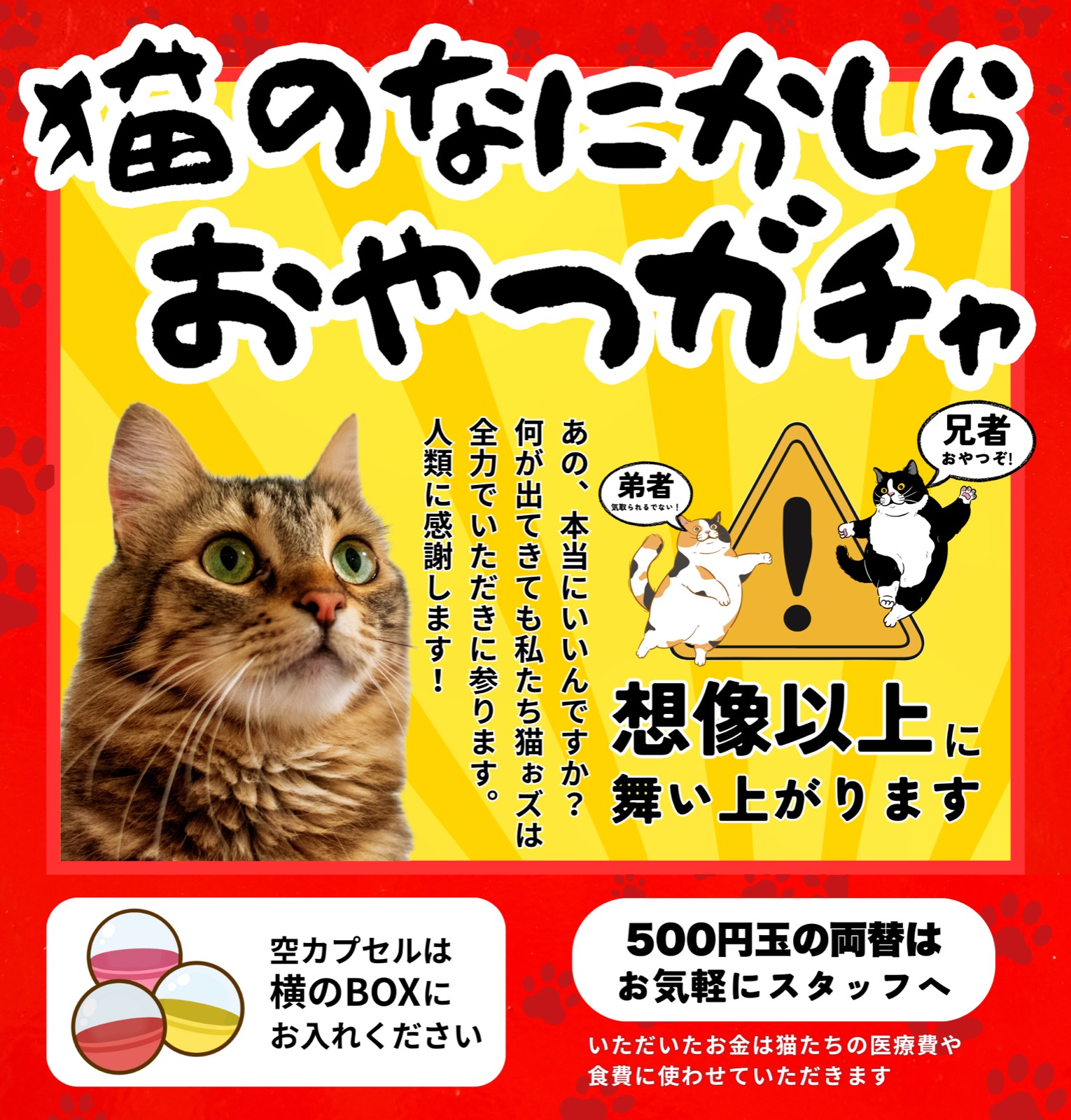 店内ガチャ